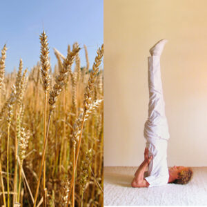 Seitenbild-künstlerisch-spirtueller-yoga